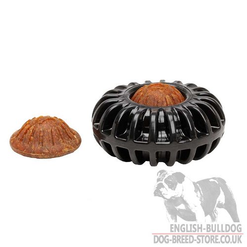 Treat Wheel Dog Toy