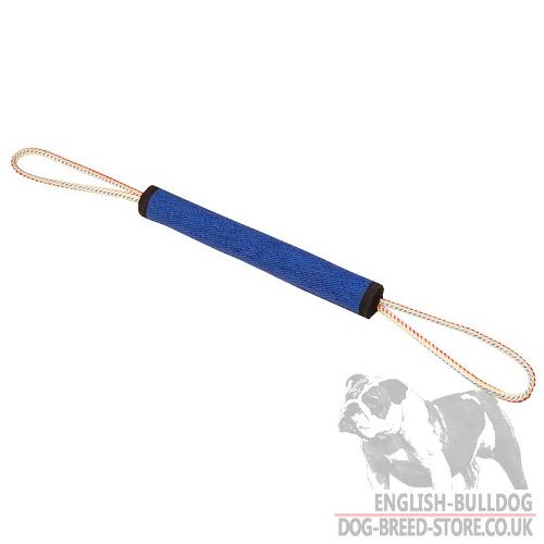 Puppy Training Toy