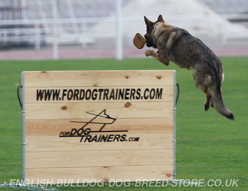 IGP Dog Jumps