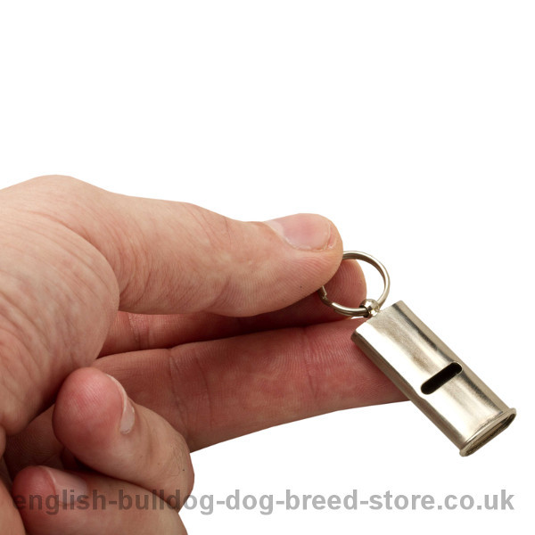 Dog Training Whistle UK