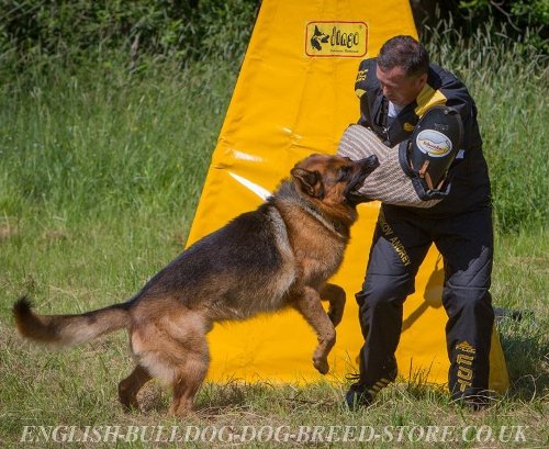 Dog Training Clothes