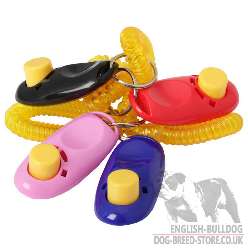 Dog Training Clicker for Bulldog - £13.90 : English ...