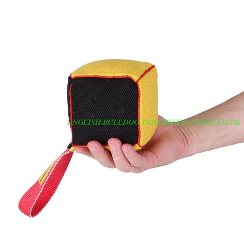 Dog Bite Tug UK, Square Shape