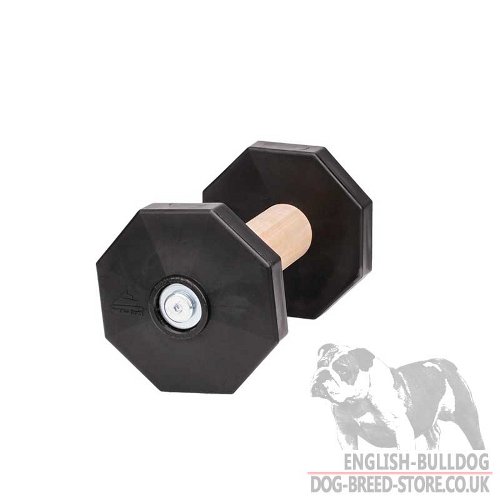 Dog Dumbbell for Sale UK