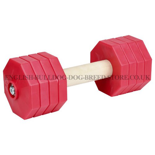 Dog Retrieve Dumbbell for Bulldog