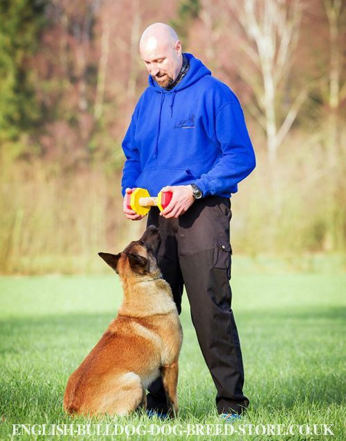 Dog Retrieving Training with Dumbbell