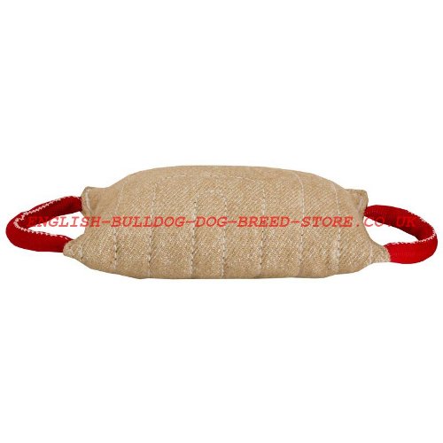 Dog Training Bite Pad