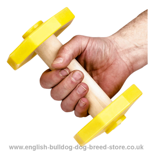 Dog Training Dumbbell