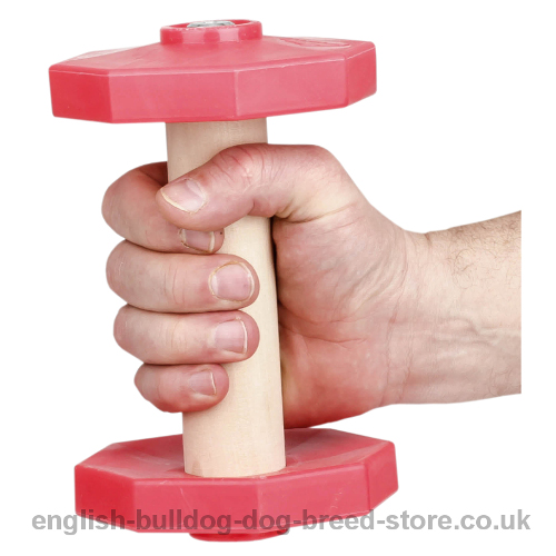 Dog Training Dumbbells