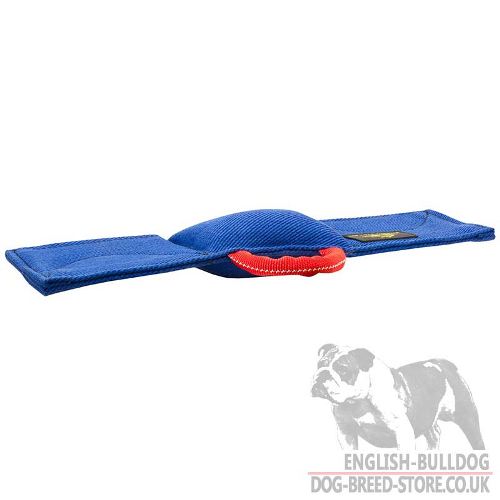 Dog Training Equipment