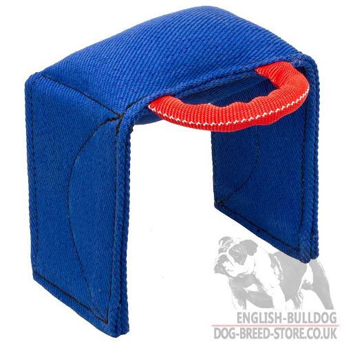 Dog Training Pad