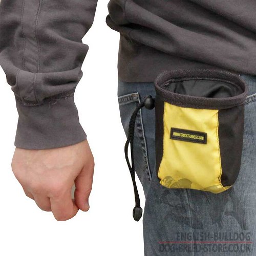 Dog Treat Pouch Belt