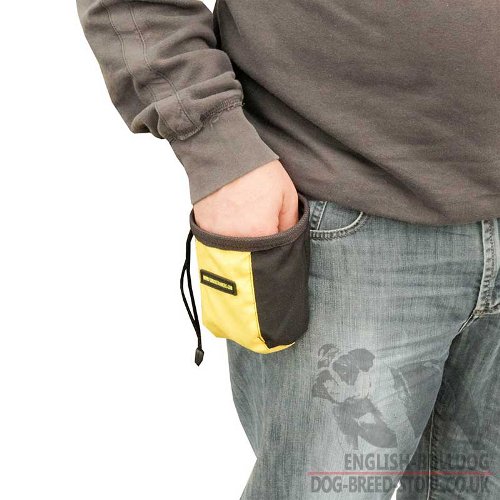 Dog Treat Pouch for Dog Training