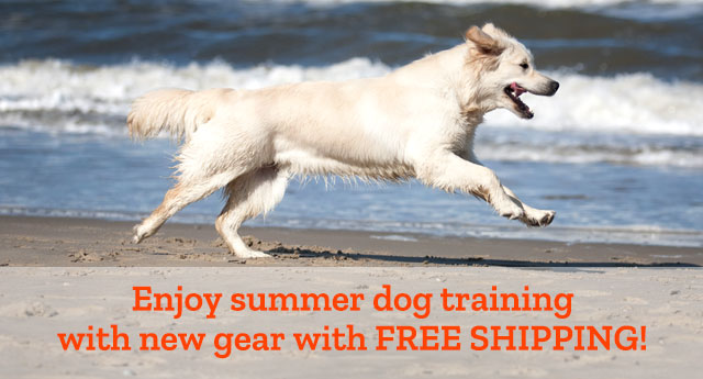 Free Shipping