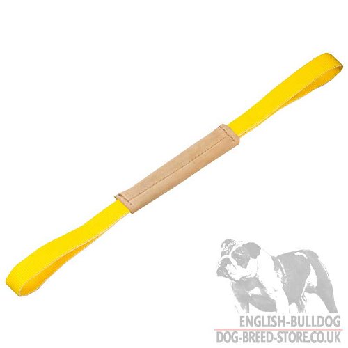 Dog Tug Training Toy