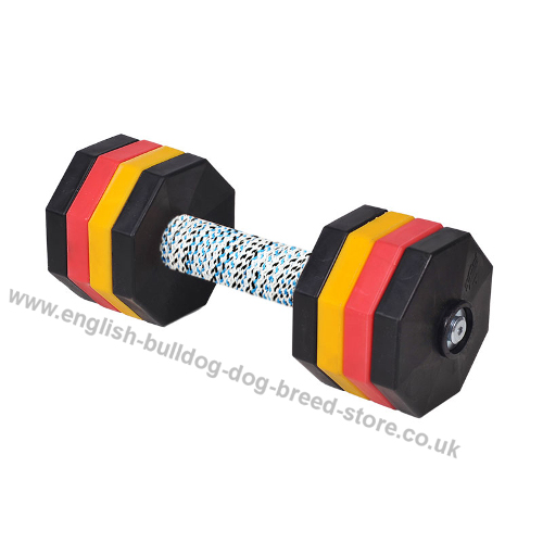 Plastic Dumbbell for Dogs