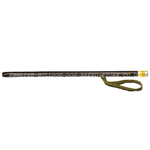 Dog Training Stick