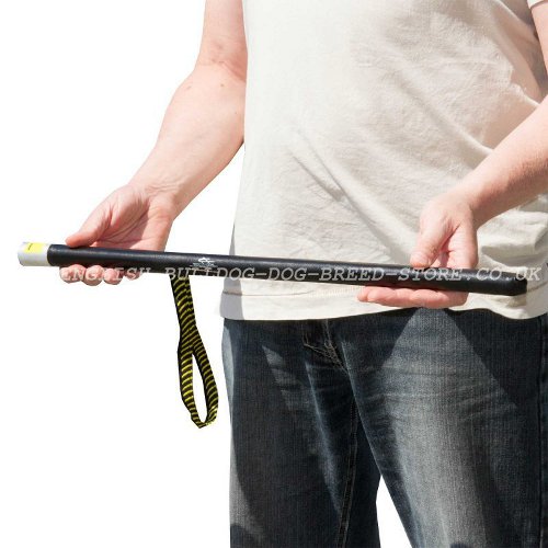 Training Stick for Dogs