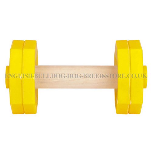Retrieving Dog Dumbbell for Bulldog UK