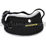 Dog Training Pouch Ball Arm Pocket to Develop Attention Dog Training Pouch Ball Arm Pocket to Develop Attention