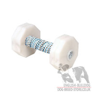 Dumbbell for Dogs Training with Removable Weight Plates, 1000 g Dumbbell for Dogs Training with Removable Weight Plates, 1000 g