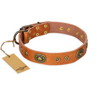 English Bulldog Collar "Dandy Pet" in Beige Leather, FDT Artisan English Bulldog Collar "Dandy Pet" in Beige Leather, FDT Artisan