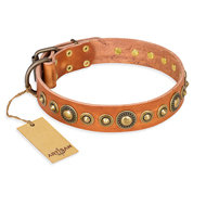 English Bulldog Collar Beige Leather "Feast of Luxury" Artisan English Bulldog Collar Beige Leather "Feast of Luxury" Artisan