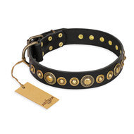 English Bulldog Collar "Gold Mine" FDT Artisan in Black Leather