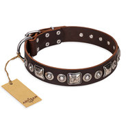 English Bulldog Collar Artisan "Pierian Spring", Brown Leather