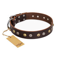 English Bulldog Collar Brown Leather "Rare Flower" FDT Artisan