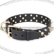 English Bulldog Collar "Rock Star" of Leather by FDT Artisan