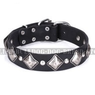 English Bulldog Collar "Silver Charm" Leather by FDT Artisan