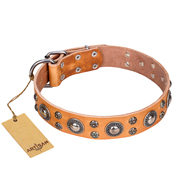 English Bulldog Collar "Extra Sparkle" FDT Artisan, Tan Leather English Bulldog Collar "Extra Sparkle" FDT Artisan, Tan Leather