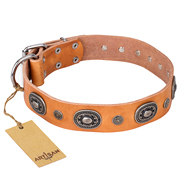 English Bulldog Collar Beige Leather "Twinkle Twinkle" Artisan English Bulldog Collar Beige Leather "Twinkle Twinkle" Artisan