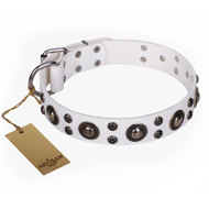 English Bulldog Collar Extraordinary "White Jewel" FDT Artisan English Bulldog Collar Extraordinary "White Jewel" FDT Artisan