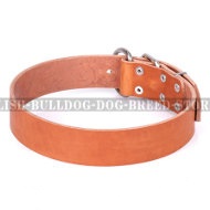 English Bulldog Collar of Classic Design in Beige Leather English Bulldog Collar of Classic Design in Beige Leather