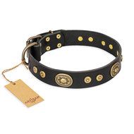 English Bulldog Collar "Golden Radiance" in Vintage, FDT Artisan