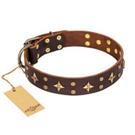 English Bulldog Collar "High Fashion" Brown Leather Artisan