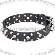 English Bulldog Collar by FDT Artisan "Jolly Roger's Spikes"