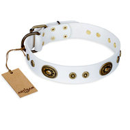 English Bulldog Collar "Magnetic Appeal" White Leather, Artisan English Bulldog Collar "Magnetic Appeal" White Leather, Artisan