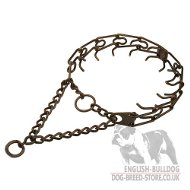 English Bulldog Collar with Antique Copper Plated Steel Prongs English Bulldog Collar with Antique Copper Plated Steel Prongs