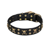 English Bulldog Collar "Jolly Roger" of Leather by FDT Artisan