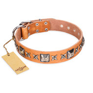 English Bulldog Collar "Silver Chic" Beige Leather FDT Artisan English Bulldog Collar "Silver Chic" Beige Leather FDT Artisan
