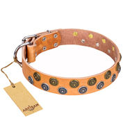 English Bulldog Collar Artisan "Precious Sparkle" of Tan Leather English Bulldog Collar Artisan "Precious Sparkle" of Tan Leather