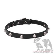 "Charm of Style" Studded Dog Collar Necklace for Bulldog