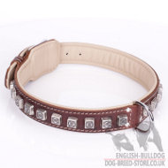 English Bulldog Dog Collar of Brown Leather "Cube"