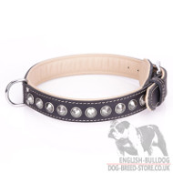 English Bulldog Dog Collar "Cone" of Black Leather