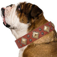 English Bulldog Dog Collar "Flight of Fancy" FDT Artisan, Beige English Bulldog Dog Collar "Flight of Fancy" FDT Artisan, Beige