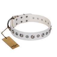 English Bulldog Dog Collar "Infinite Purity" Artisan for Walking English Bulldog Dog Collar "Infinite Purity" Artisan for Walking