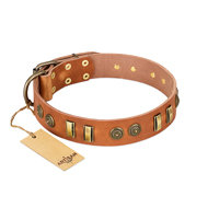 English Bulldog Dog Collar Leather FDT Artisan "Natural Beauty" English Bulldog Dog Collar Leather FDT Artisan "Natural Beauty"